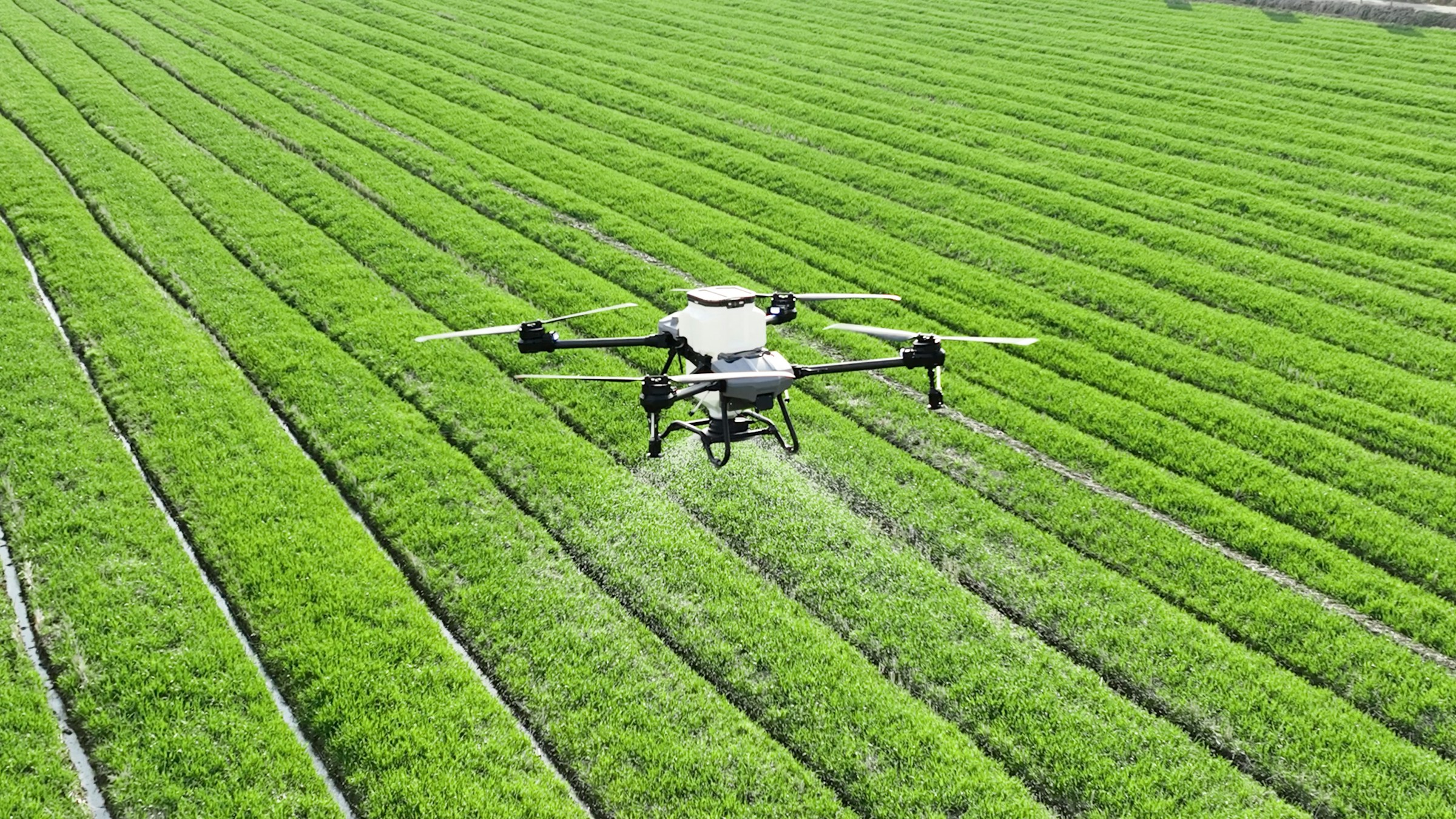 Precision agriculture aerial operation by AeroCapita